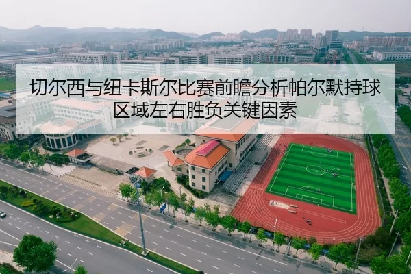 切尔西与纽卡斯尔比赛前瞻分析帕尔默持球区域左右胜负关键因素