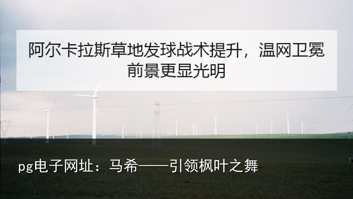 pg电子网址:马希——引领枫叶之舞