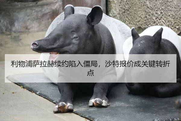 利物浦萨拉赫续约陷入僵局，沙特报价成关键转折点