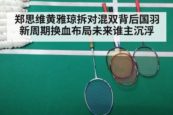 badminton match
